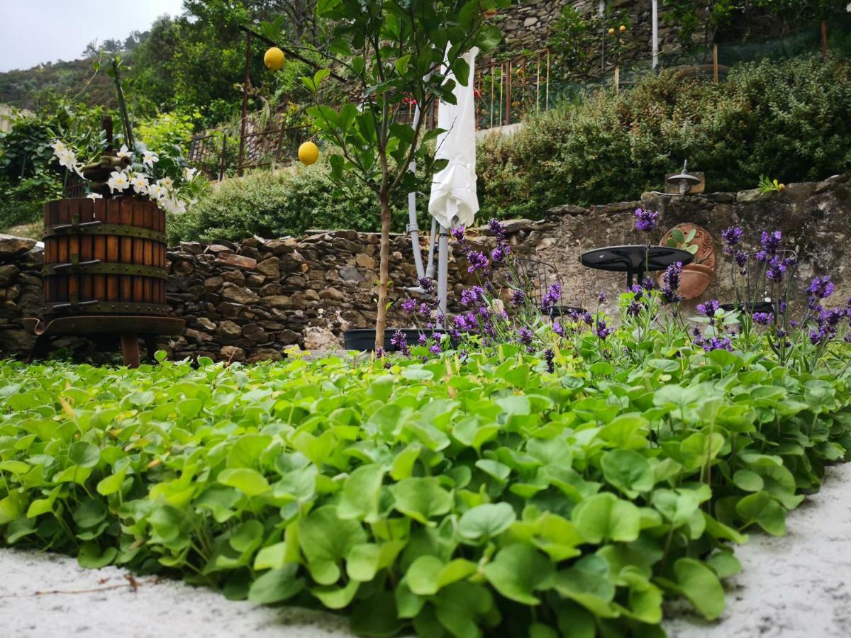 Il Giardino Di Riomaggiore Luaran gambar