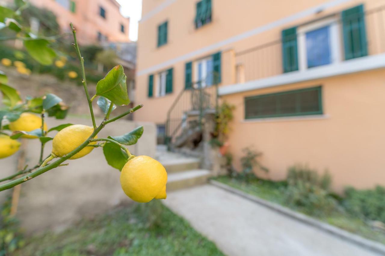 Il Giardino Di Riomaggiore Luaran gambar